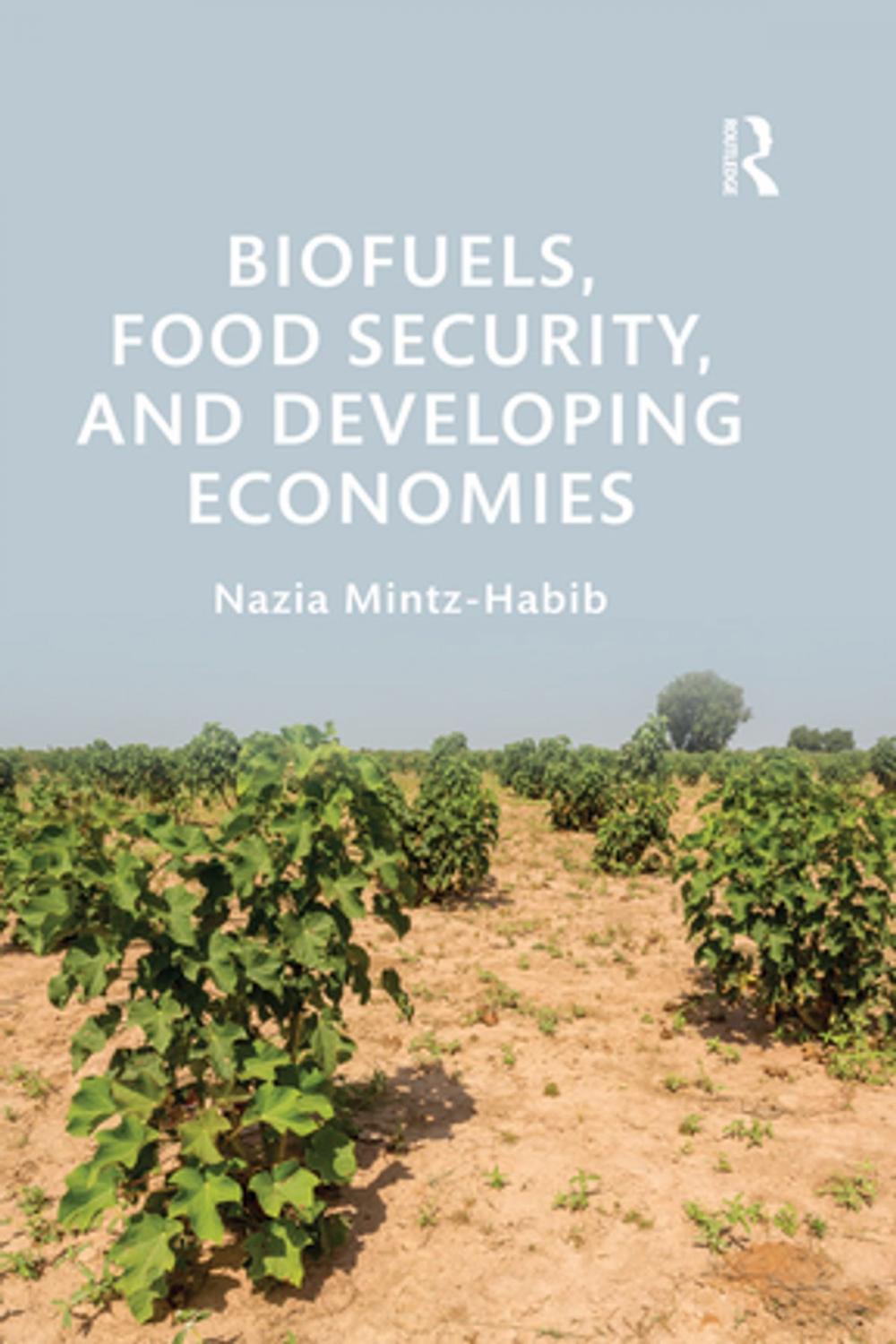 Big bigCover of Biofuels, Food Security, and Developing Economies