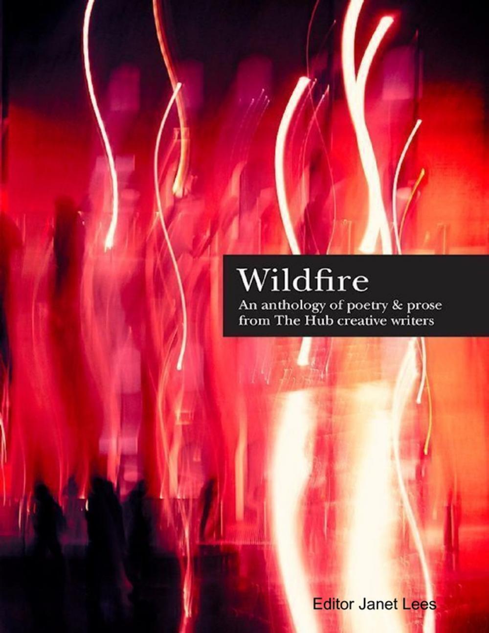 Big bigCover of Wildfire Anthology