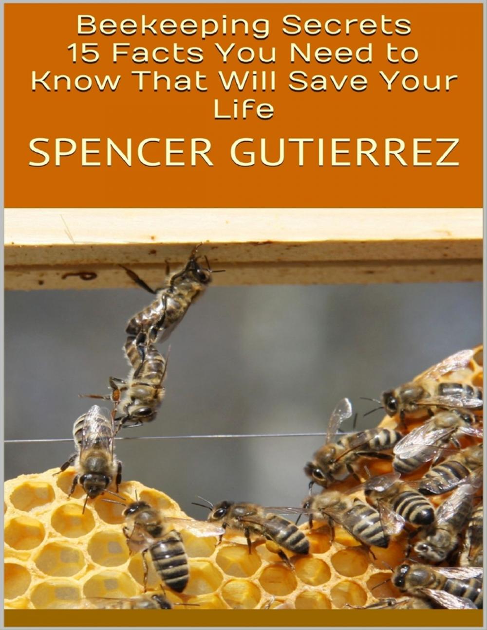 Big bigCover of Beekeeping Secrets: 15 Facts You Need to Know That Will Save Your Life