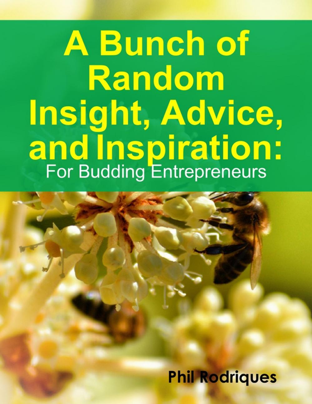 Big bigCover of A Bunch of Random Insight, Advice, and Inspiration: For Budding Entrepreneurs