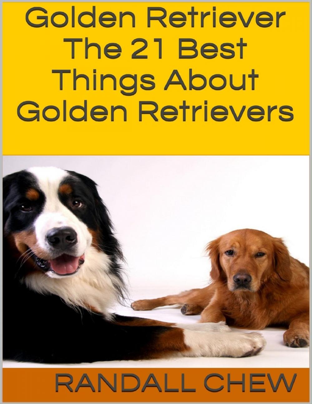 Big bigCover of Golden Retriever: The 21 Best Things About Golden Retrievers