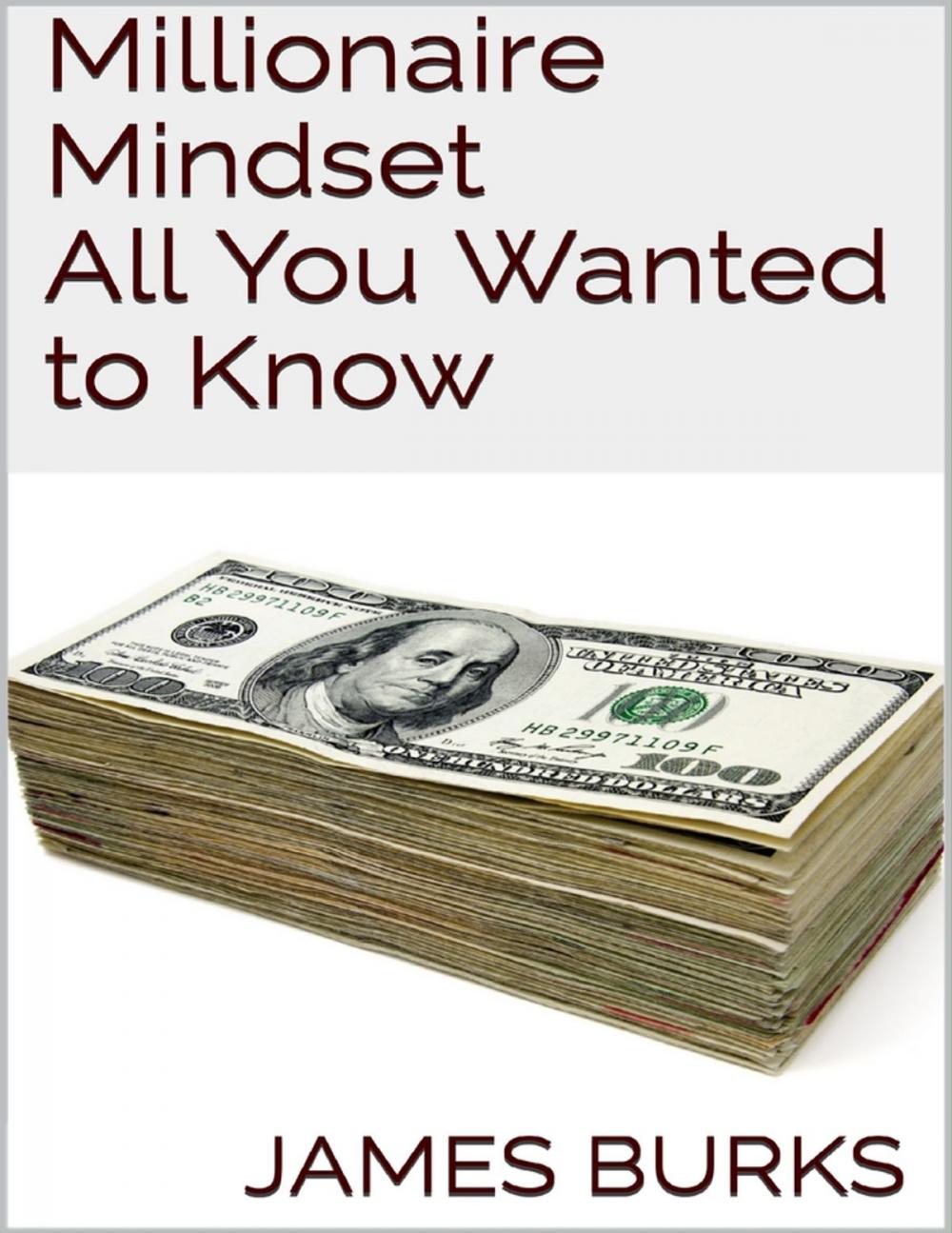 Big bigCover of Millionaire Mindset: All You Wanted to Know