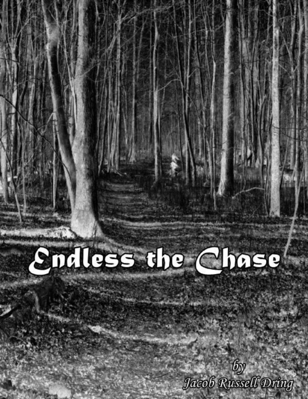 Big bigCover of Endless the Chase