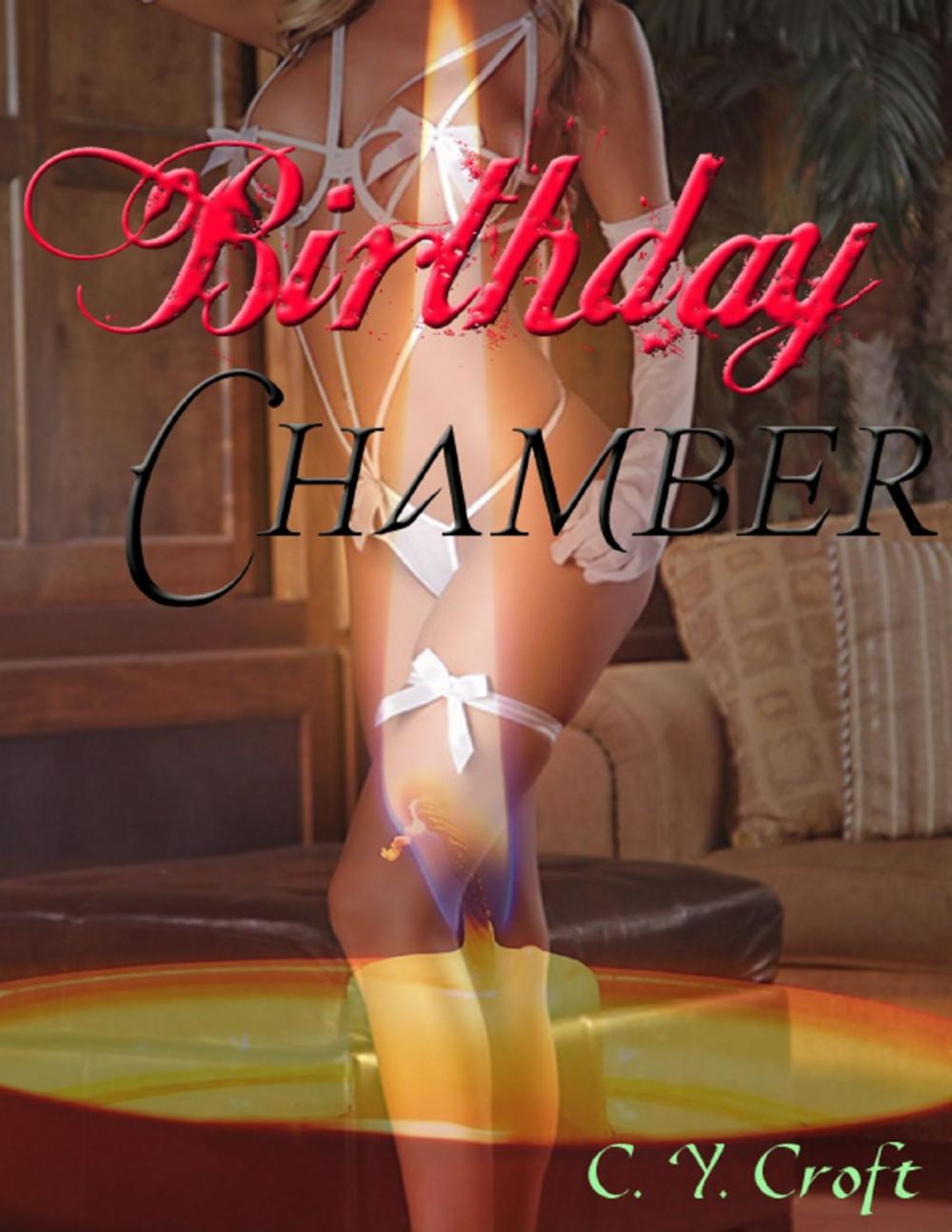 Big bigCover of Birthday Chamber