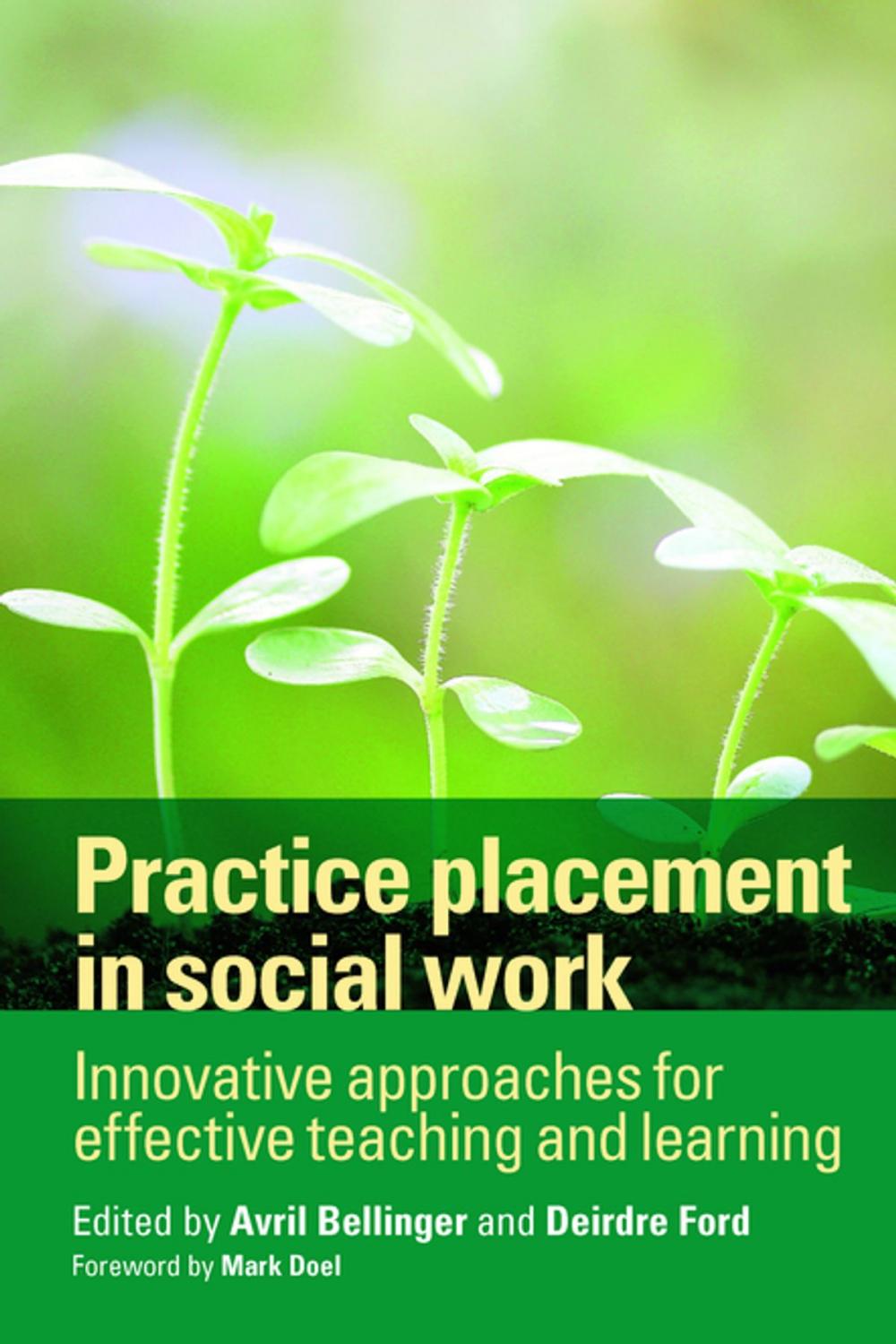 Big bigCover of Practice placement in social work