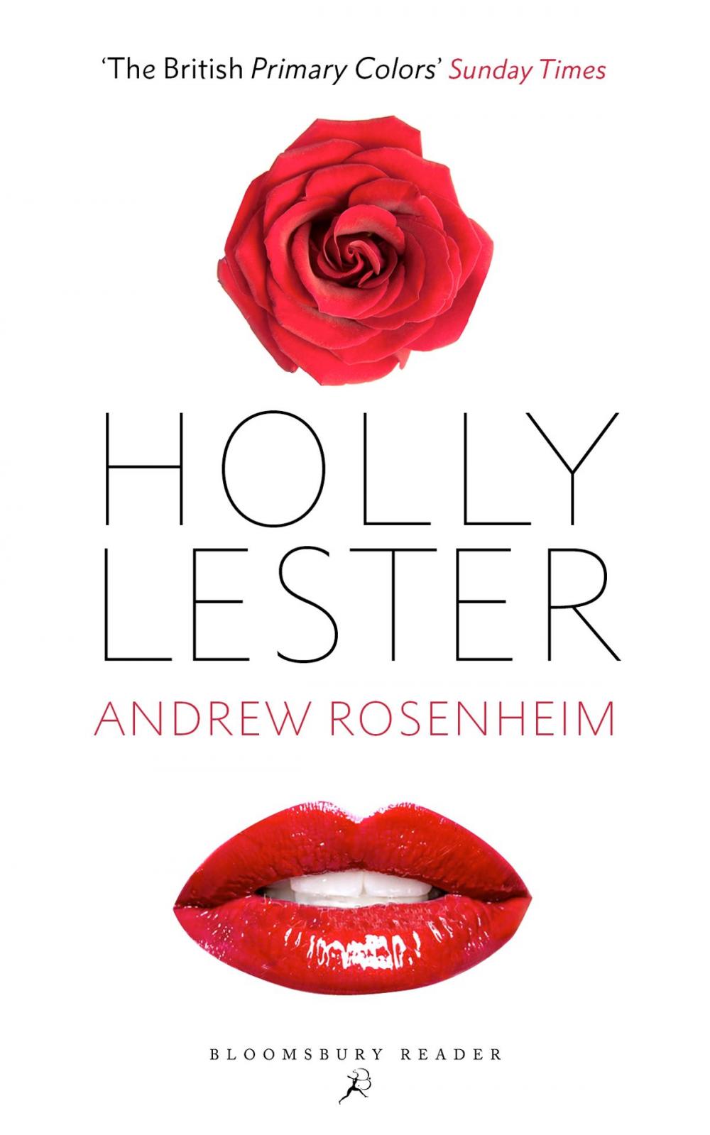 Big bigCover of Holly Lester