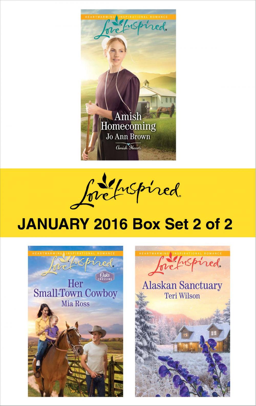 Big bigCover of Love Inspired January 2016 - Box Set 2 of 2