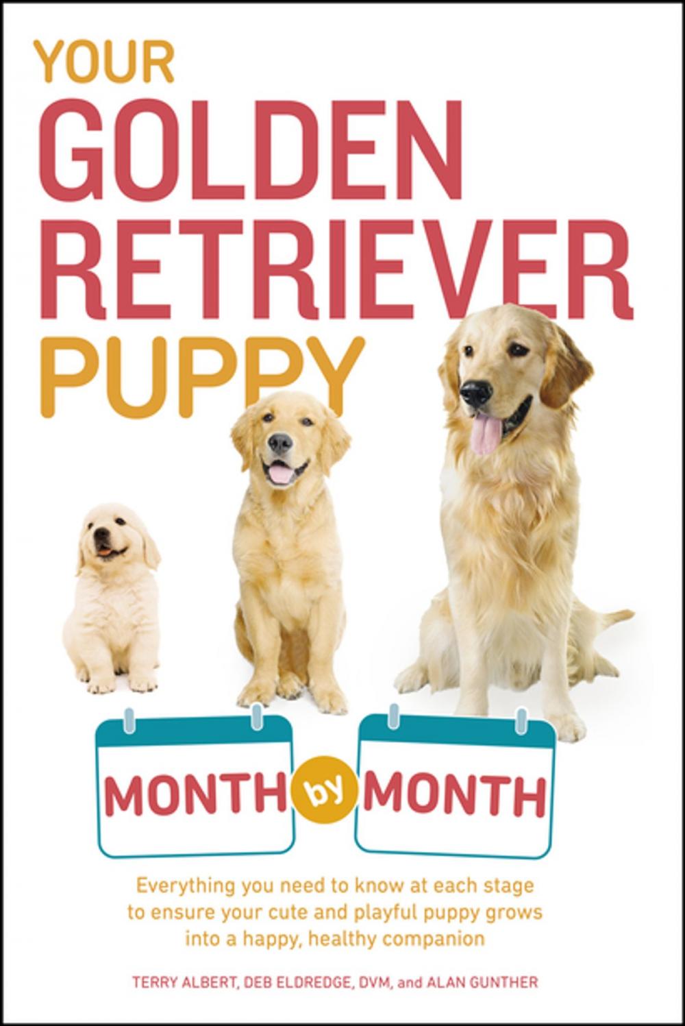 Big bigCover of Your Golden Retriever Puppy Month by Month