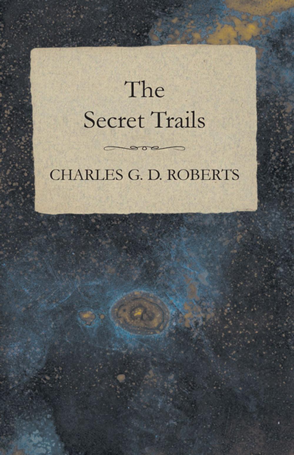 Big bigCover of The Secret Trails