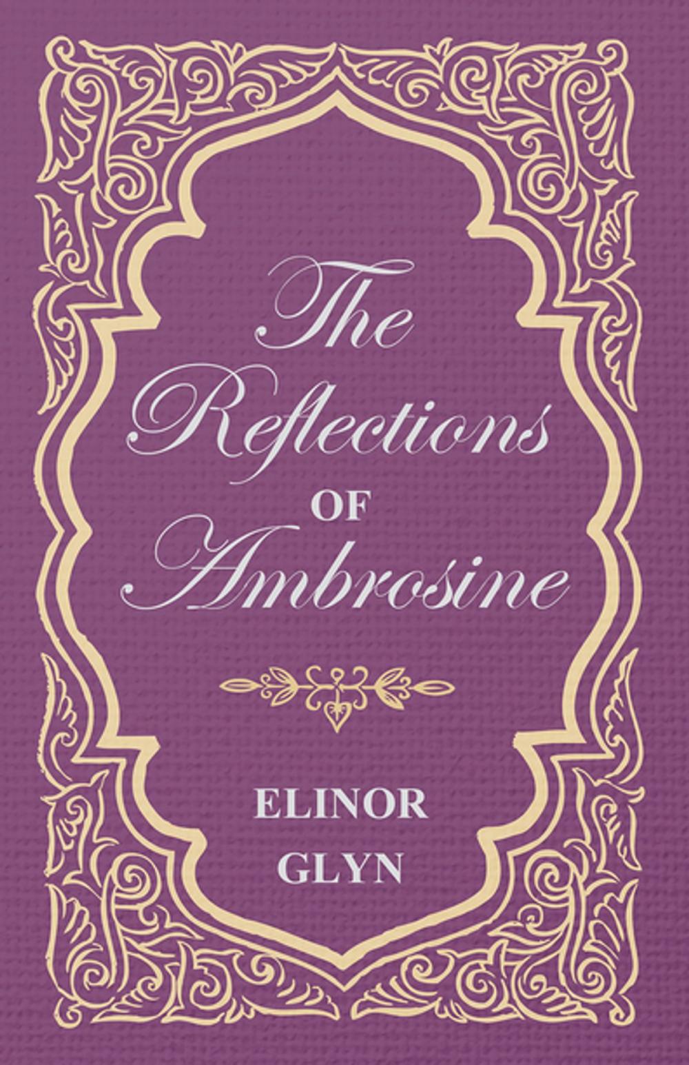 Big bigCover of The Reflections of Ambrosine