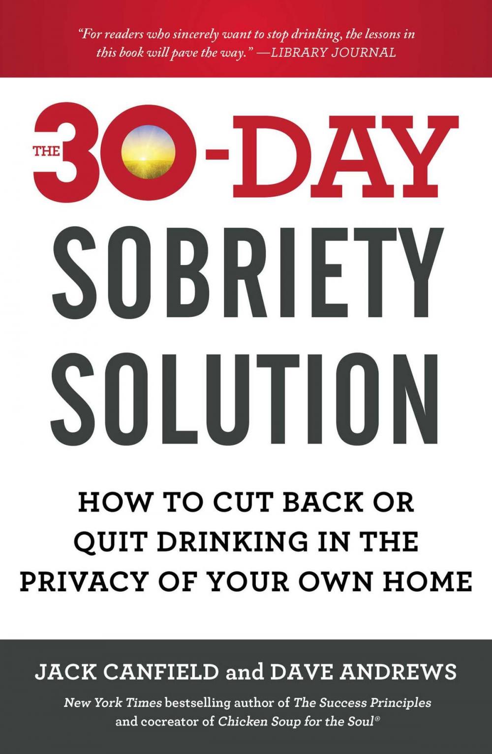 Big bigCover of The 30-Day Sobriety Solution