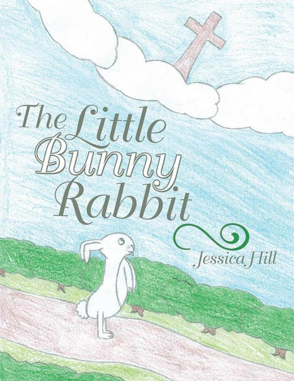 Big bigCover of The Little Bunny Rabbit