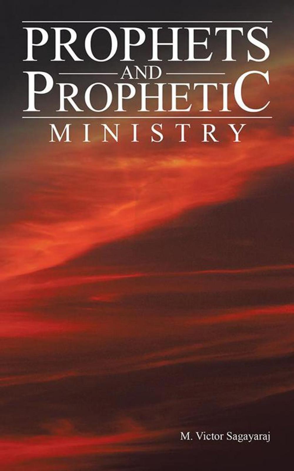 Big bigCover of Prophets and Prophetic Ministry