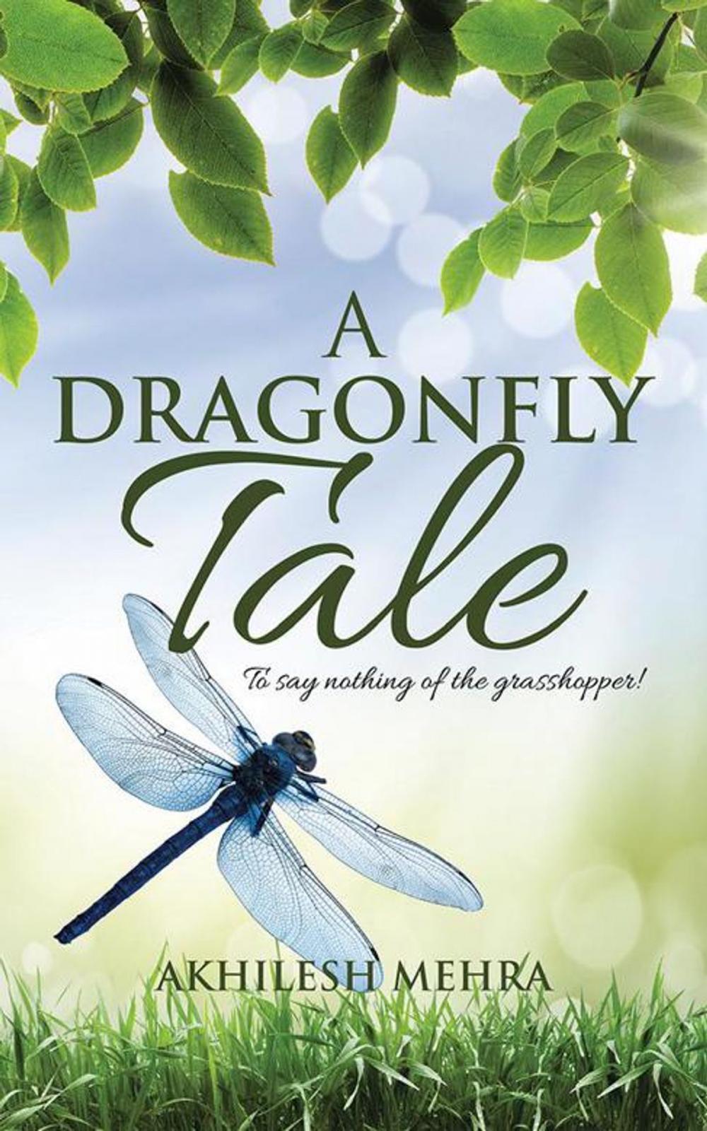 Big bigCover of A Dragonfly Tale