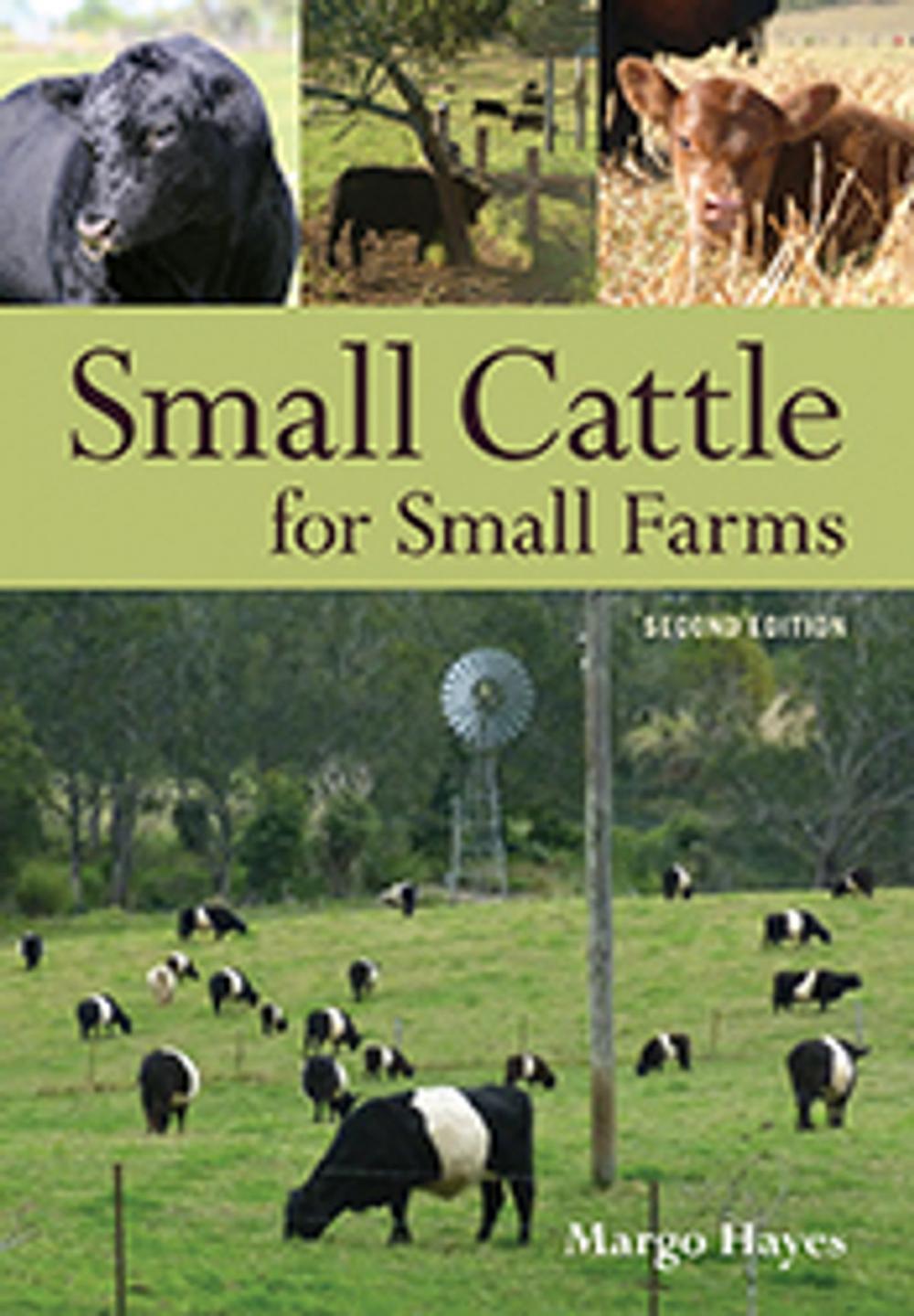 Big bigCover of Small Cattle for Small Farms