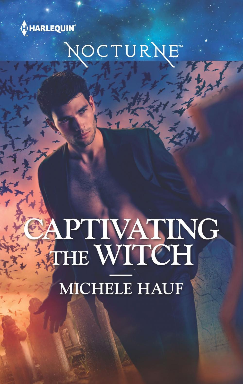 Big bigCover of Captivating the Witch