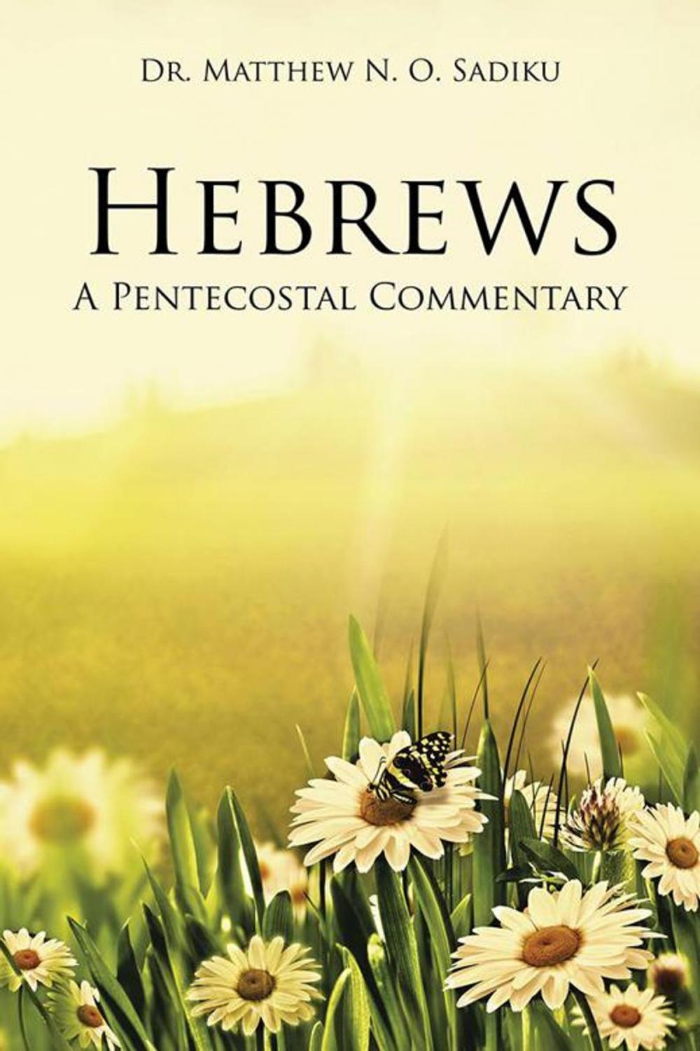 Big bigCover of Hebrews