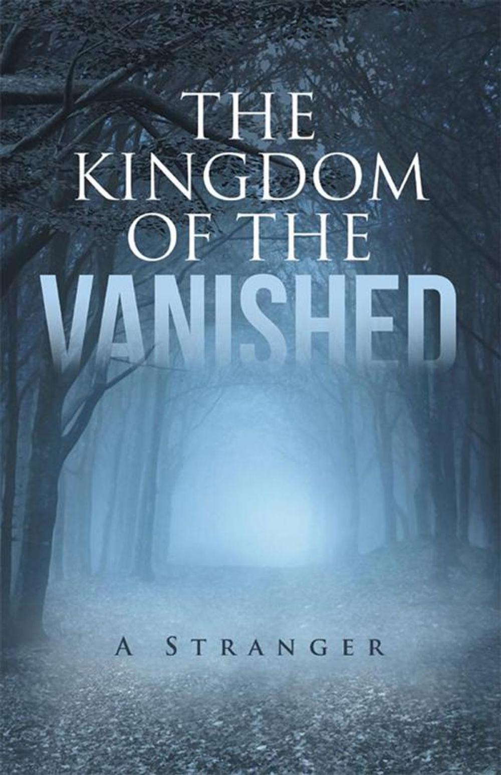 Big bigCover of The Kingdom of the Vanished