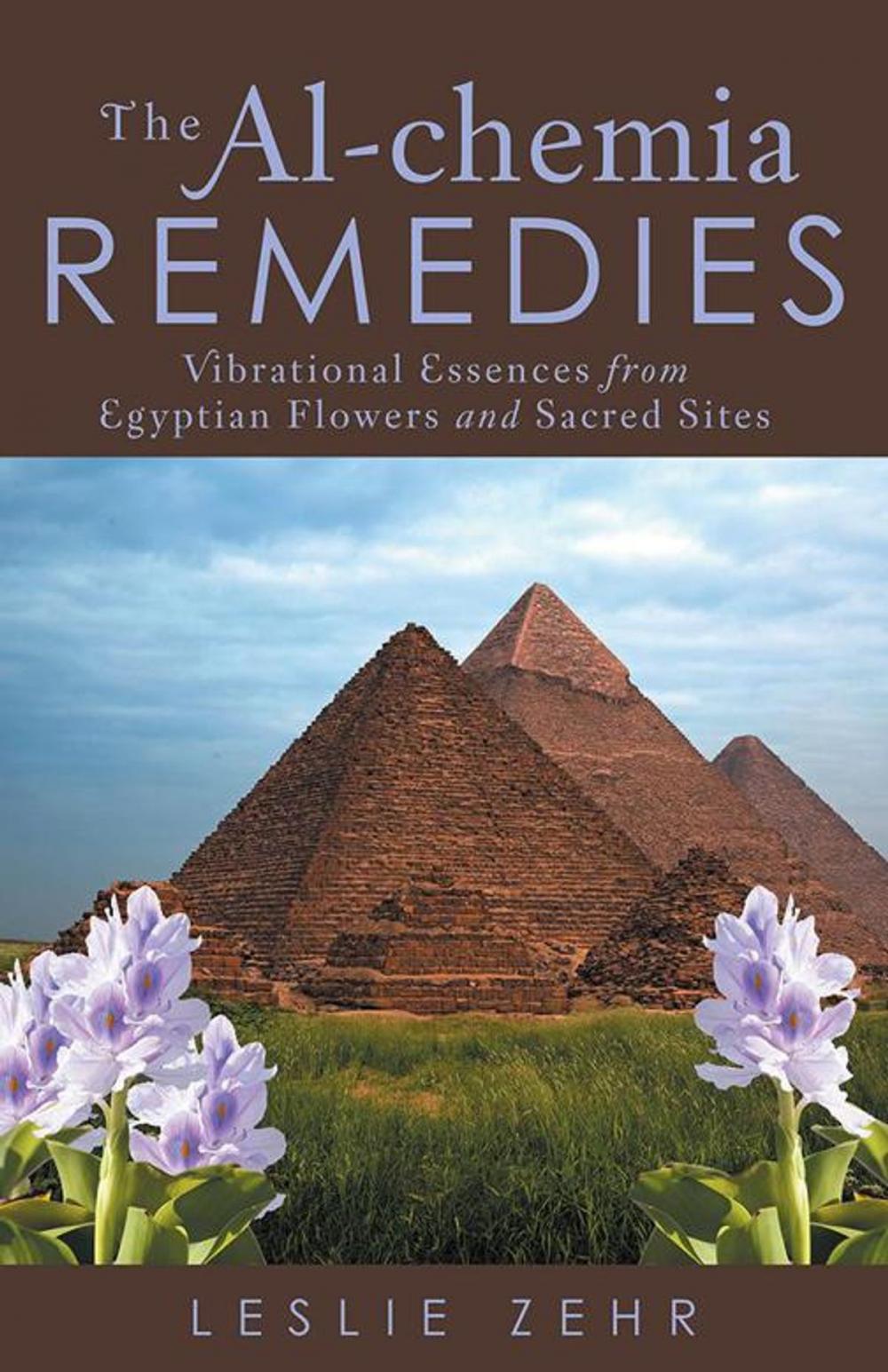 Big bigCover of The Al-Chemia Remedies