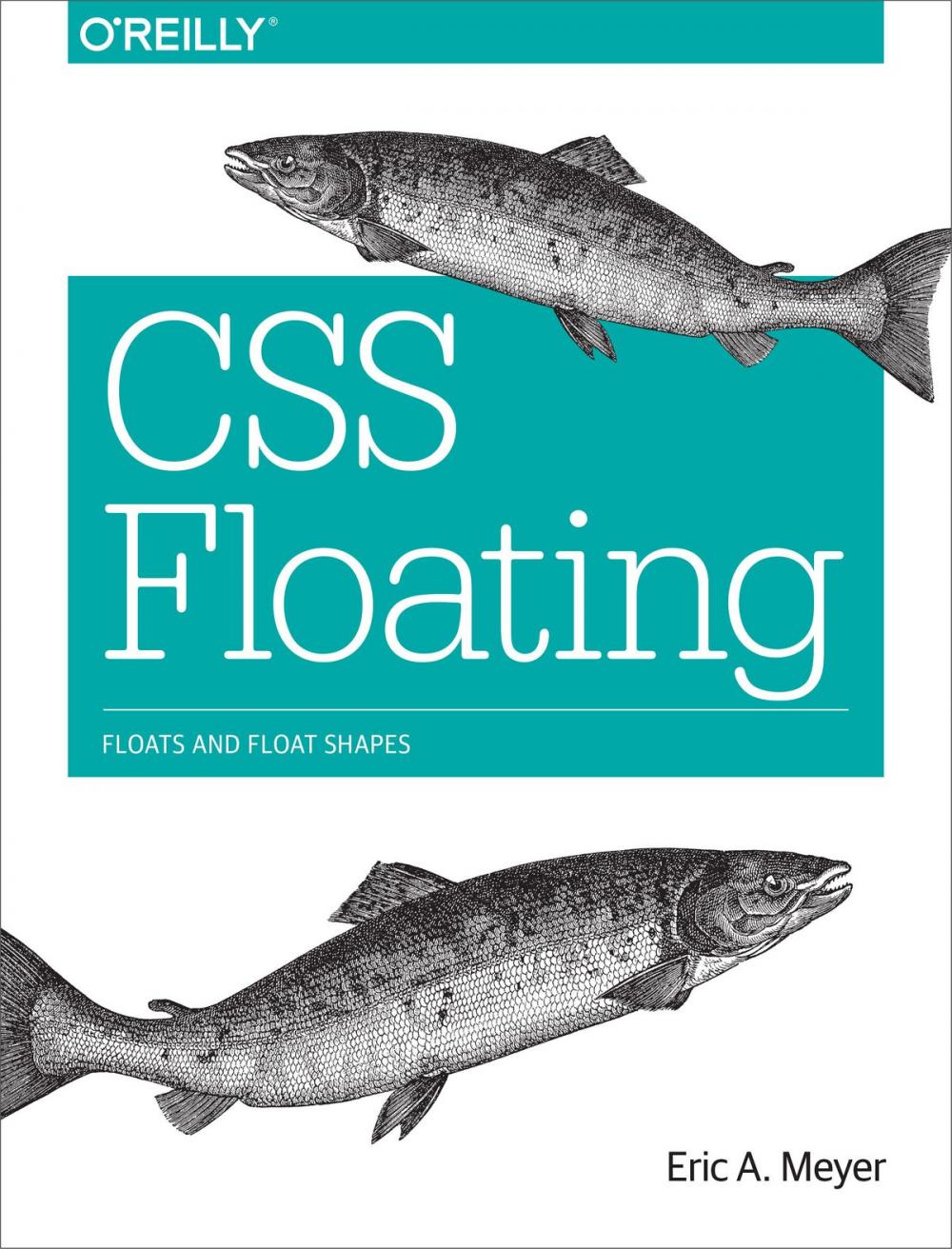 Big bigCover of CSS Floating