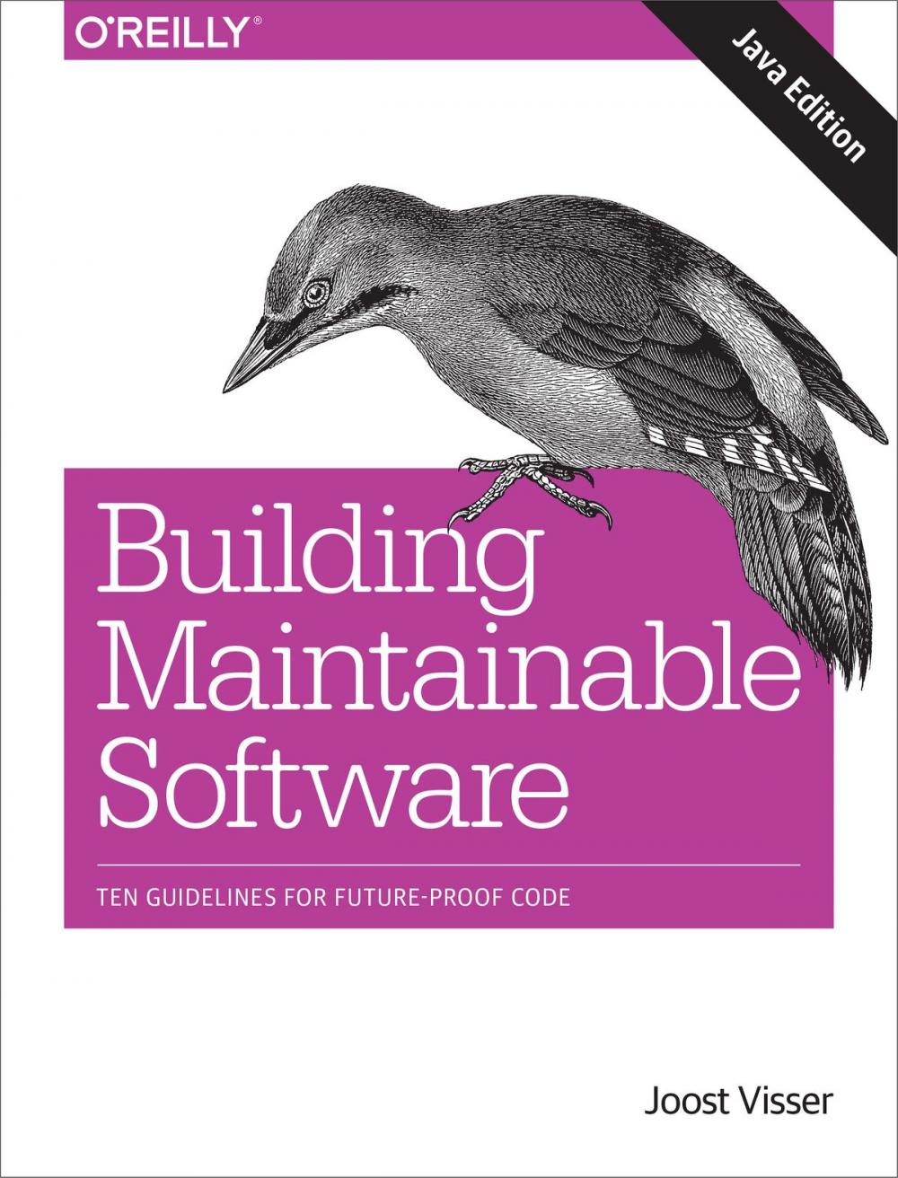 Big bigCover of Building Maintainable Software, Java Edition