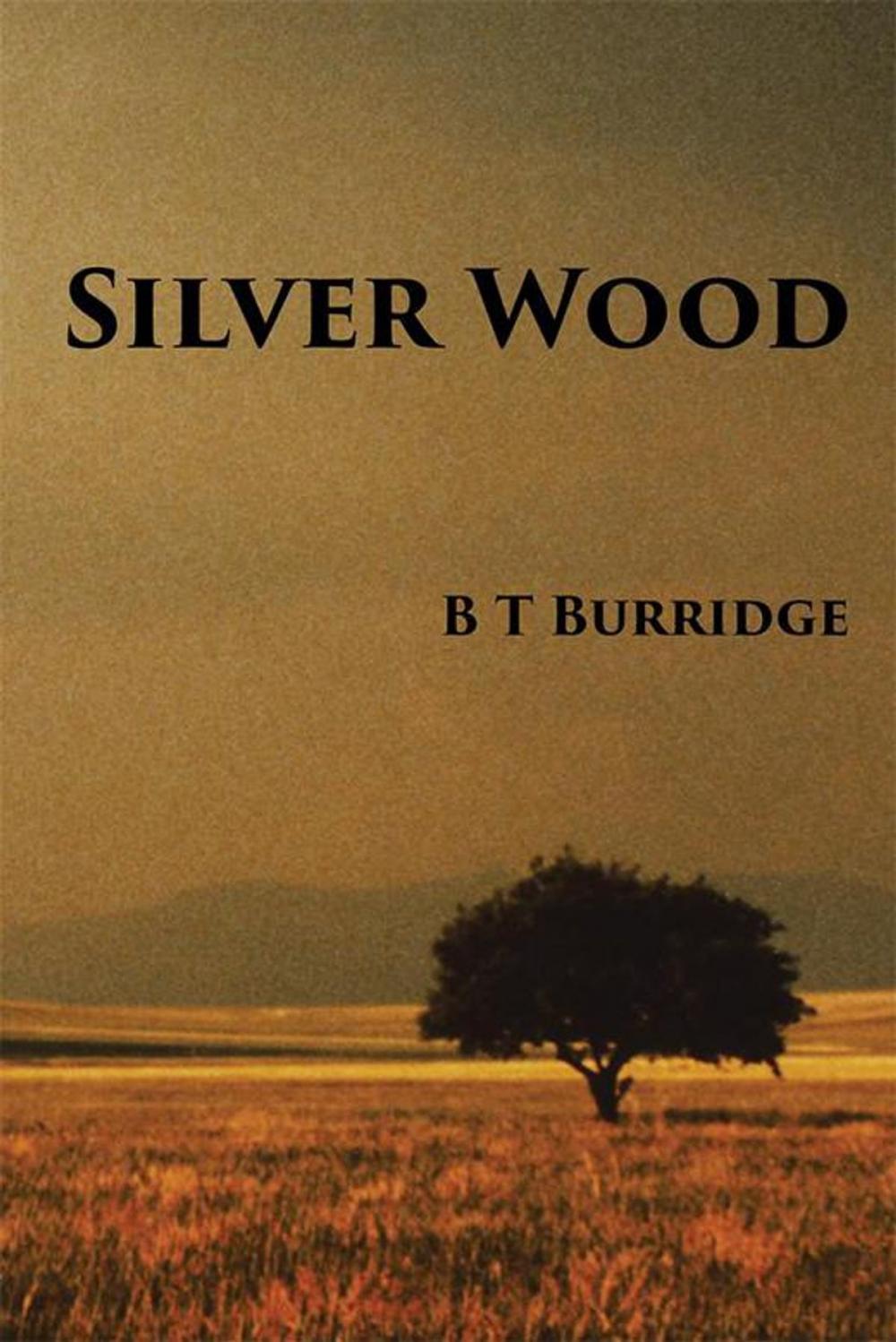 Big bigCover of Silver Wood