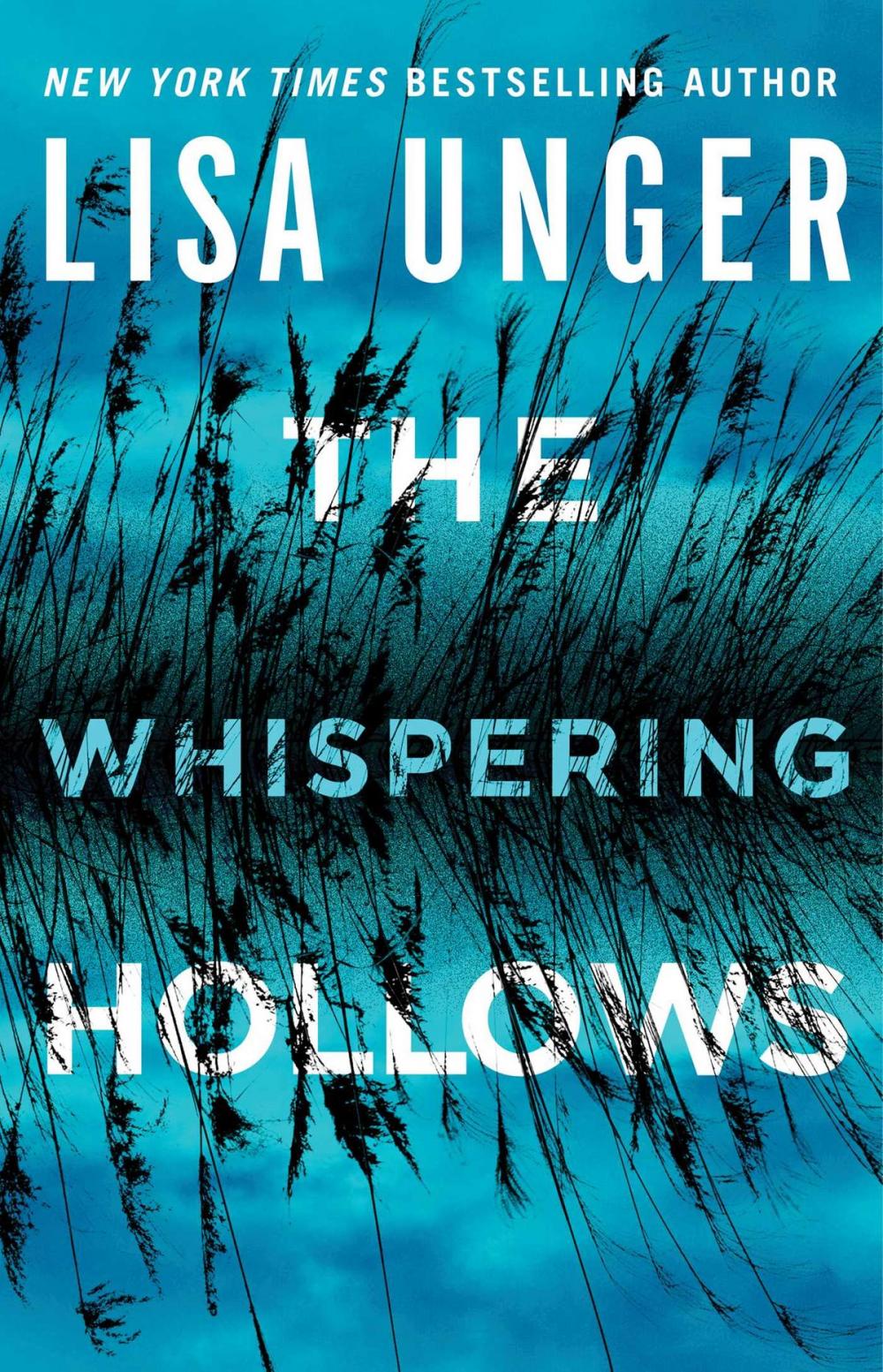 Big bigCover of The Whispering Hollows