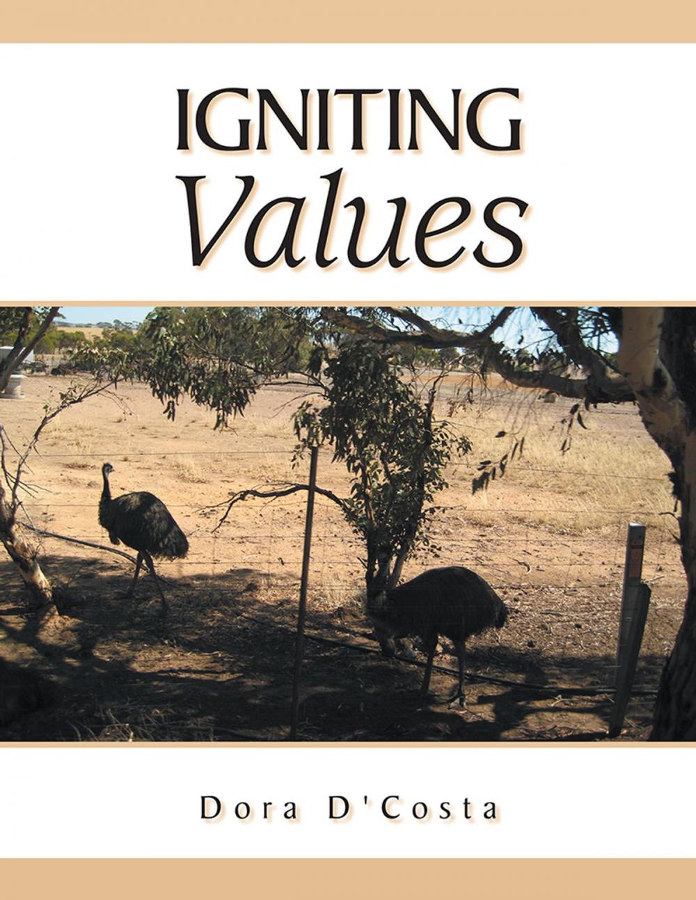 Big bigCover of Igniting Values