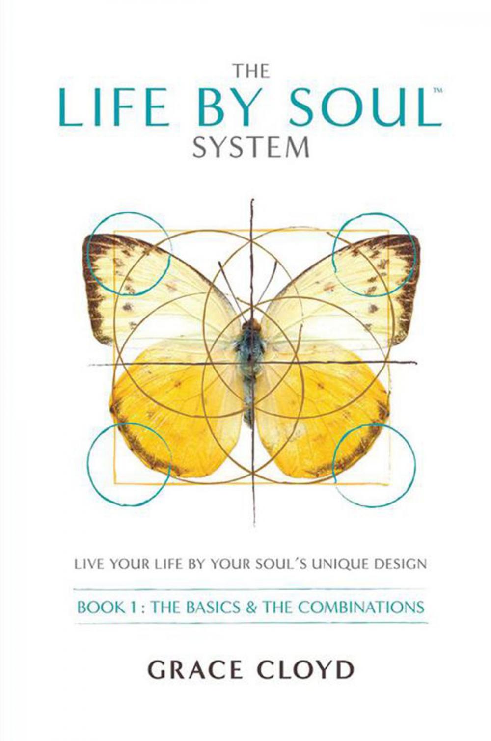 Big bigCover of The Life by Soul™ System