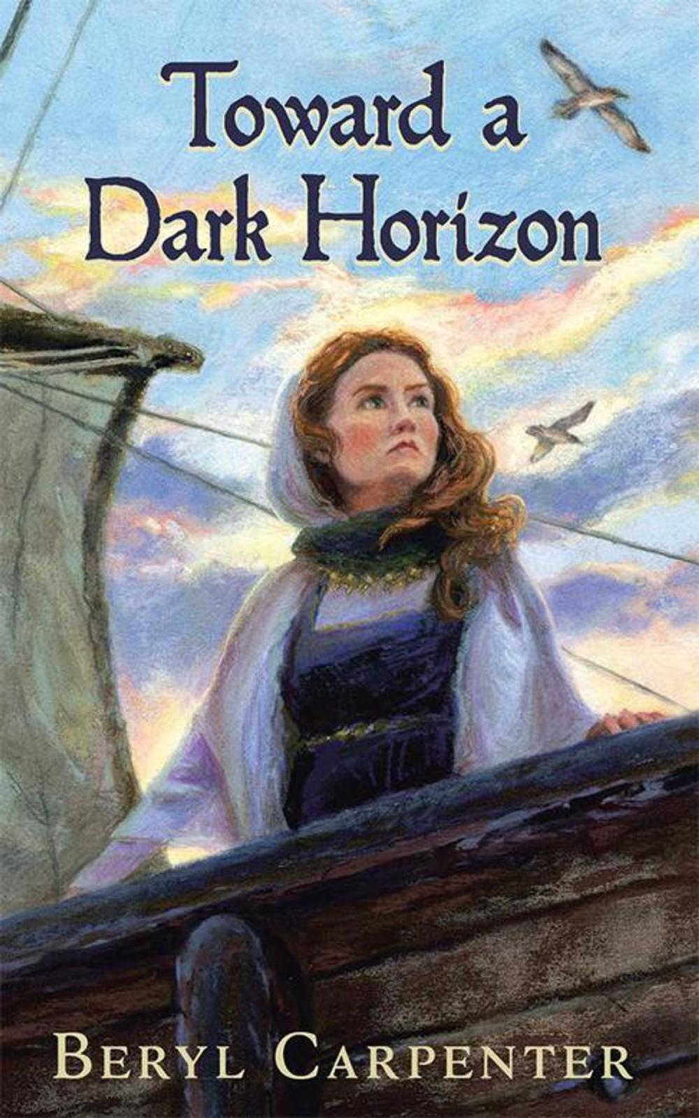 Big bigCover of Toward a Dark Horizon