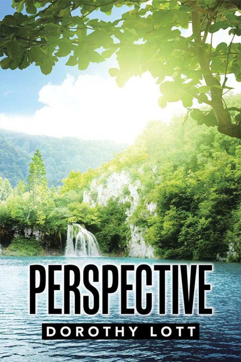 Big bigCover of Perspective