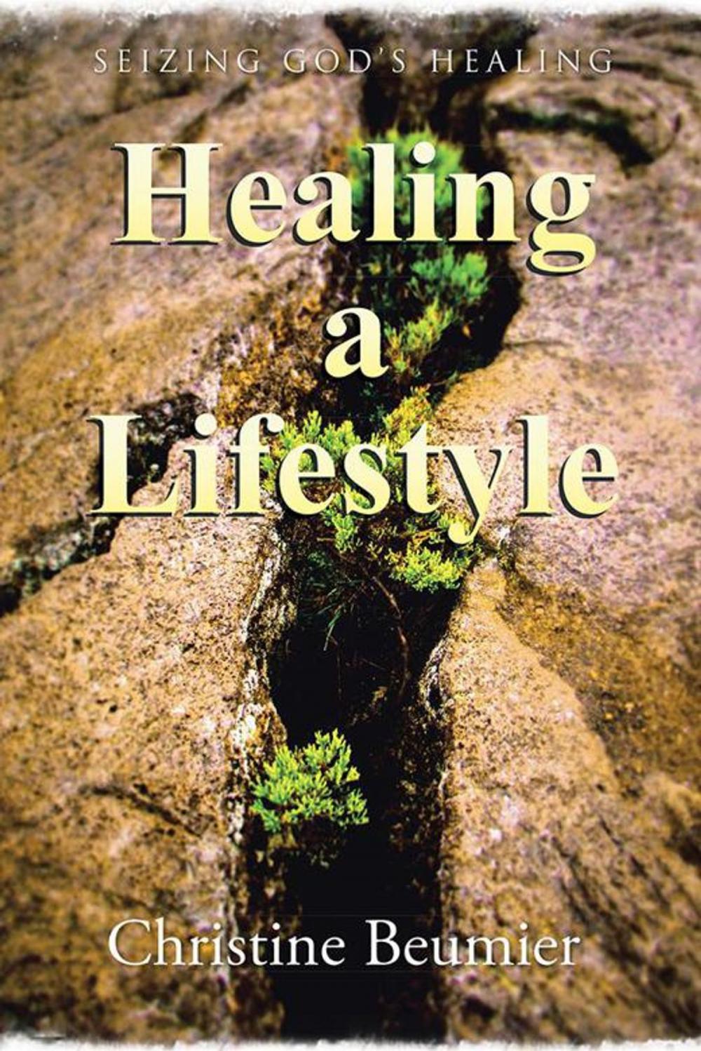 Big bigCover of Healing a Lifestyle