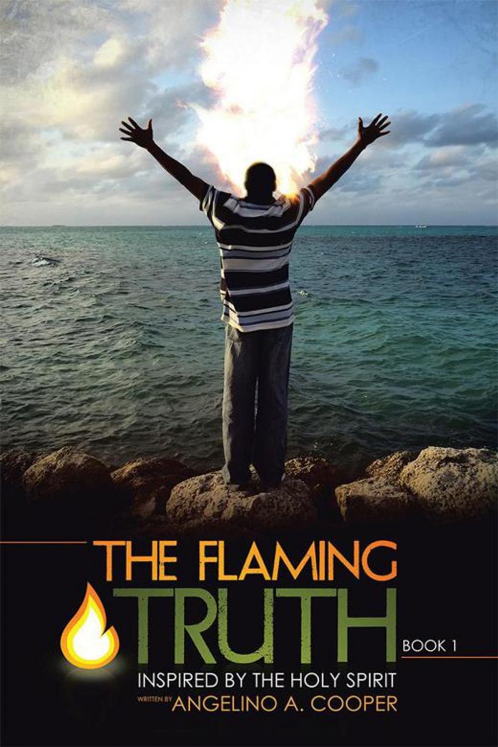 Big bigCover of The Flaming Truth