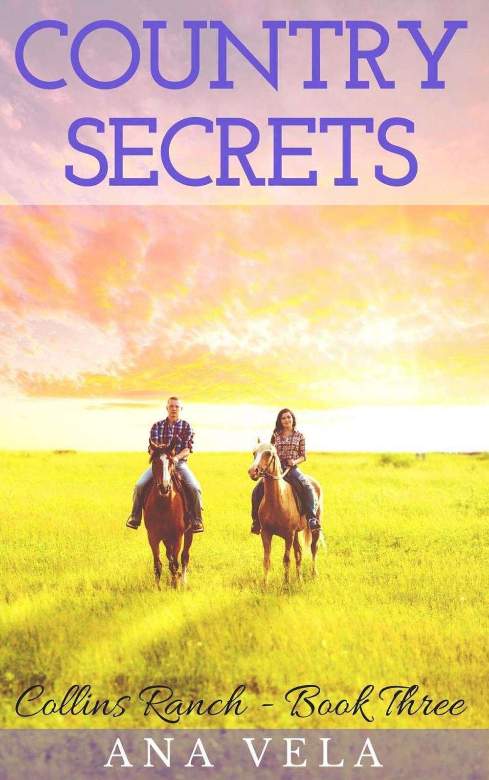 Big bigCover of Country Secrets (Collins Ranch - Book 3)