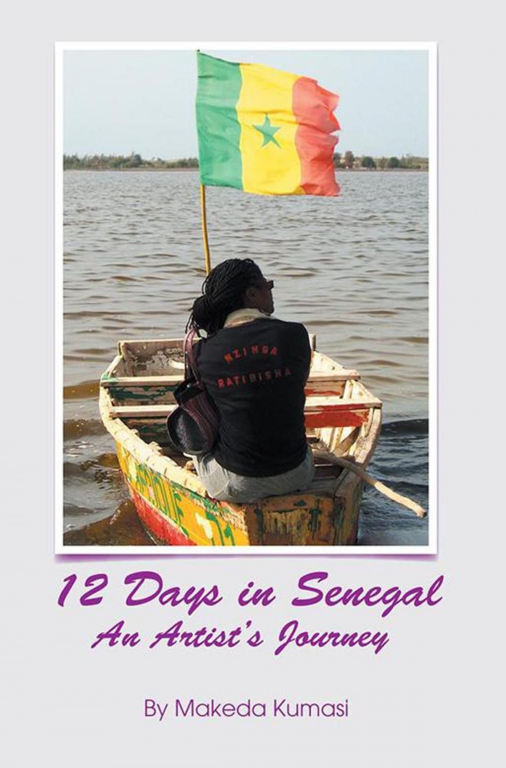 Big bigCover of 12 Days in Senegal