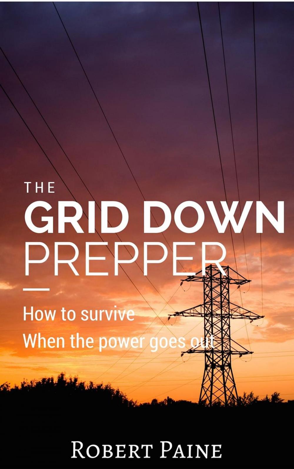 Big bigCover of The Grid Down Prepper: How to survive when the power goes out