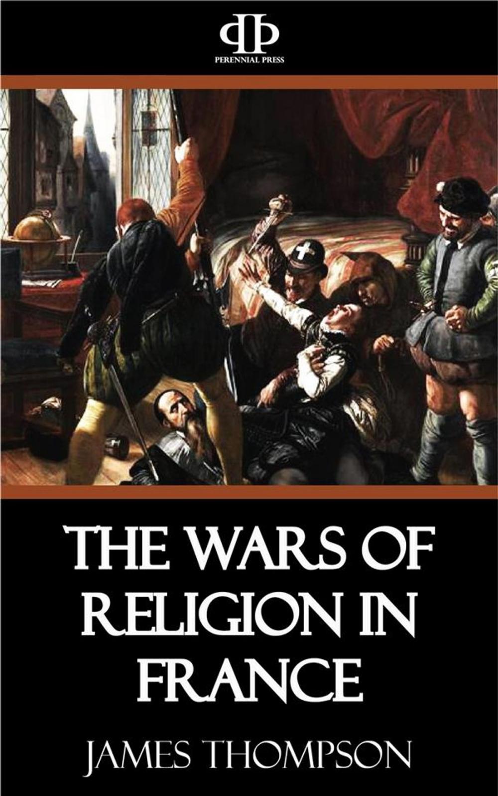 Big bigCover of The Wars of Religion in France