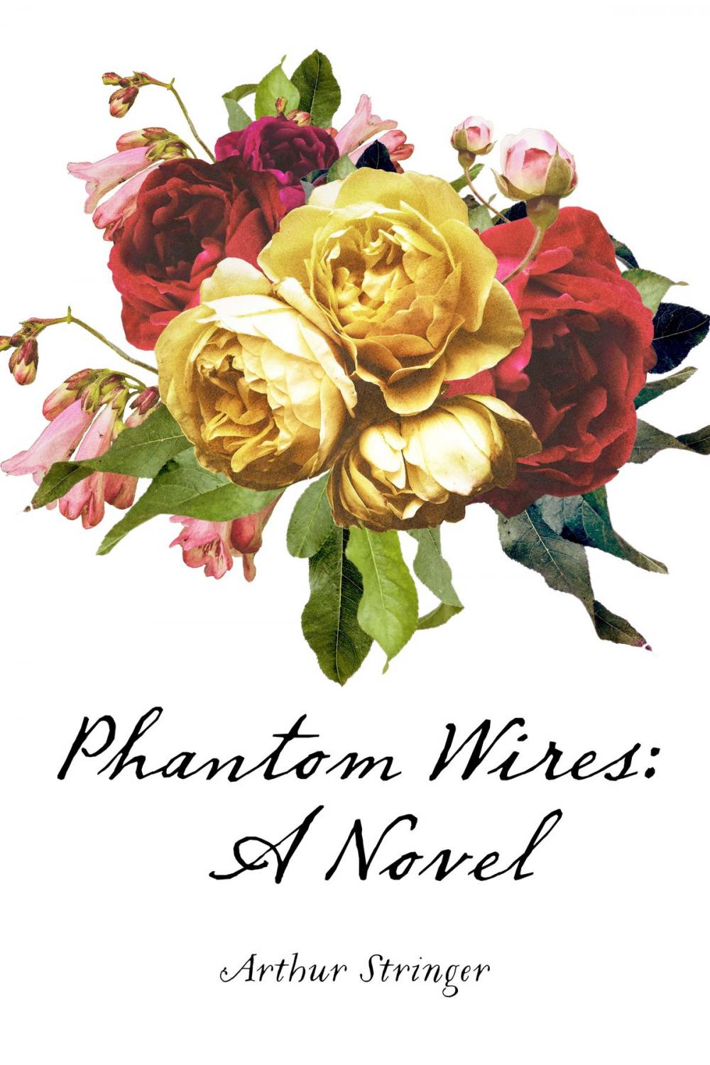 Big bigCover of Phantom Wires: A Novel