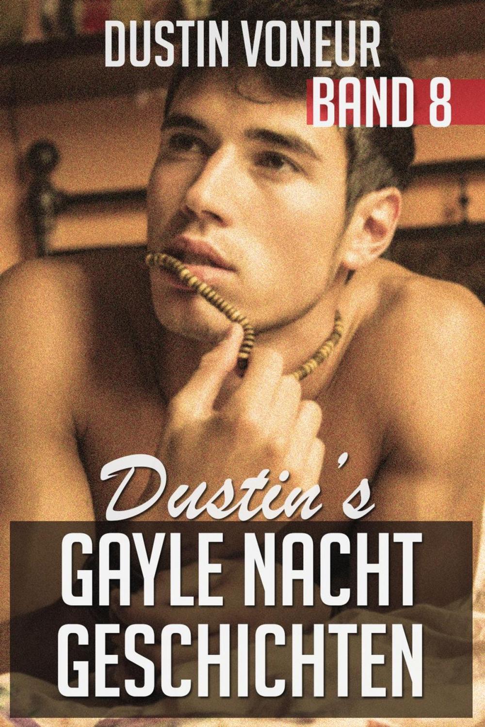 Big bigCover of Dustin's Gayle Nacht Geschichten: Band 8