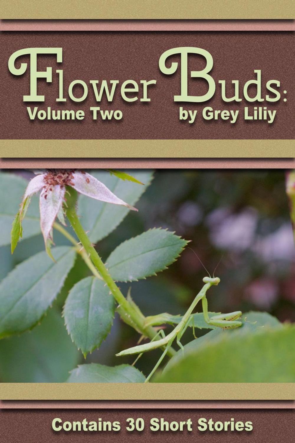 Big bigCover of Flower Buds: Volume Two