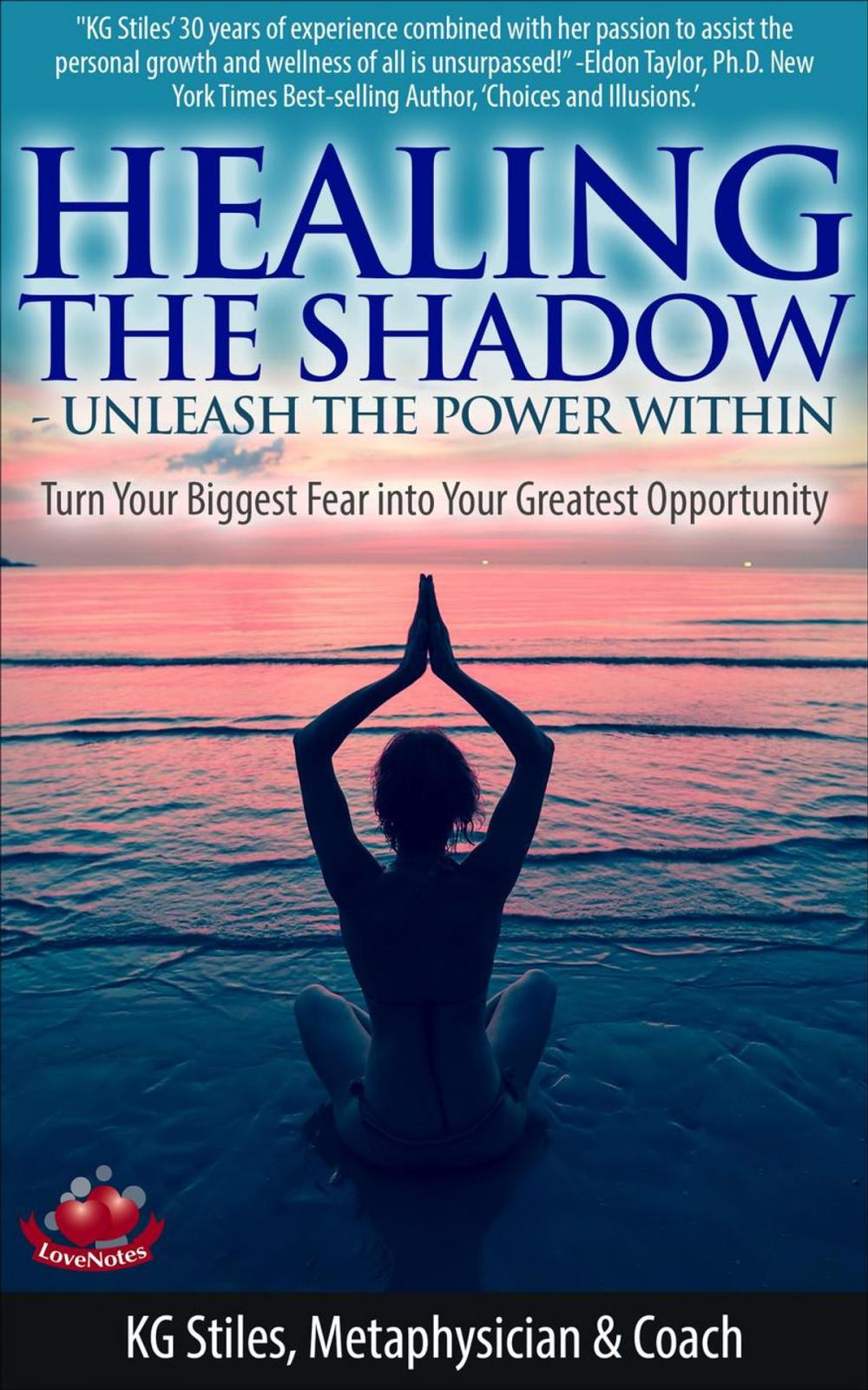 Big bigCover of Healing the Shadow Unleash the Power Within Turn Your Biggest Fear Into Your Greatest Opportunity