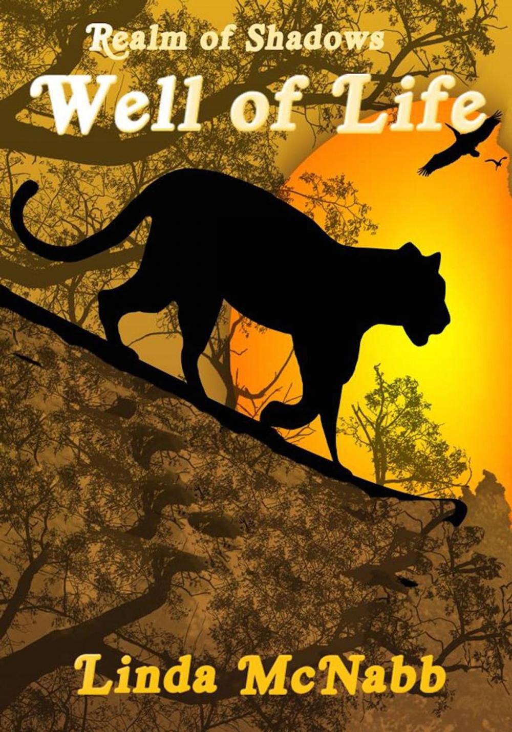 Big bigCover of Well of Life