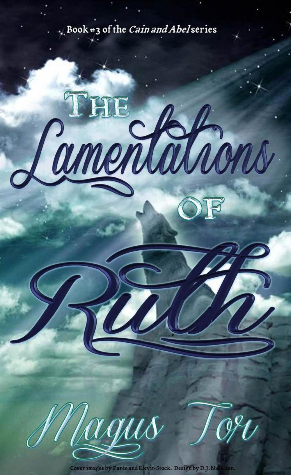 Big bigCover of The Lamentations of Ruth