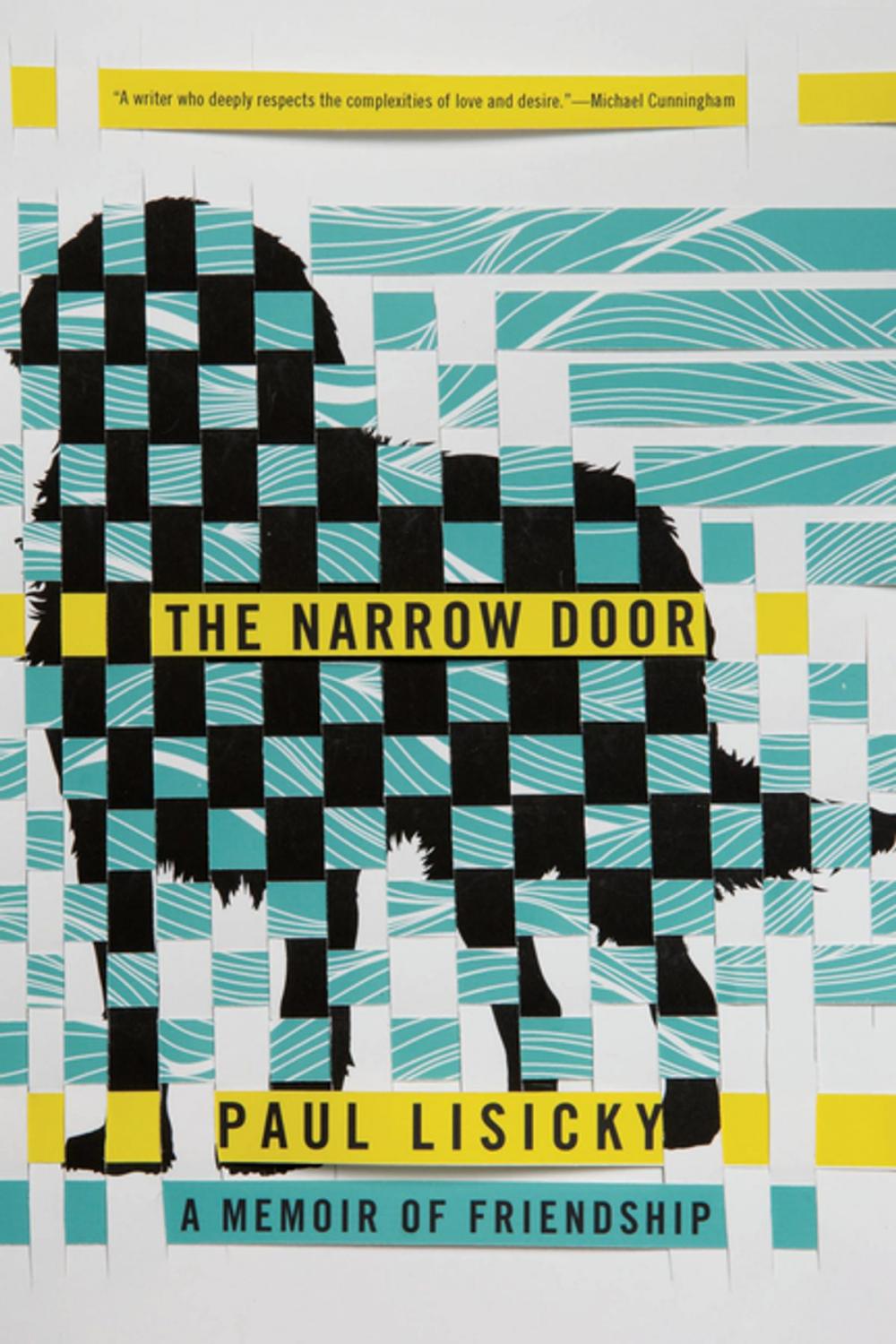 Big bigCover of The Narrow Door