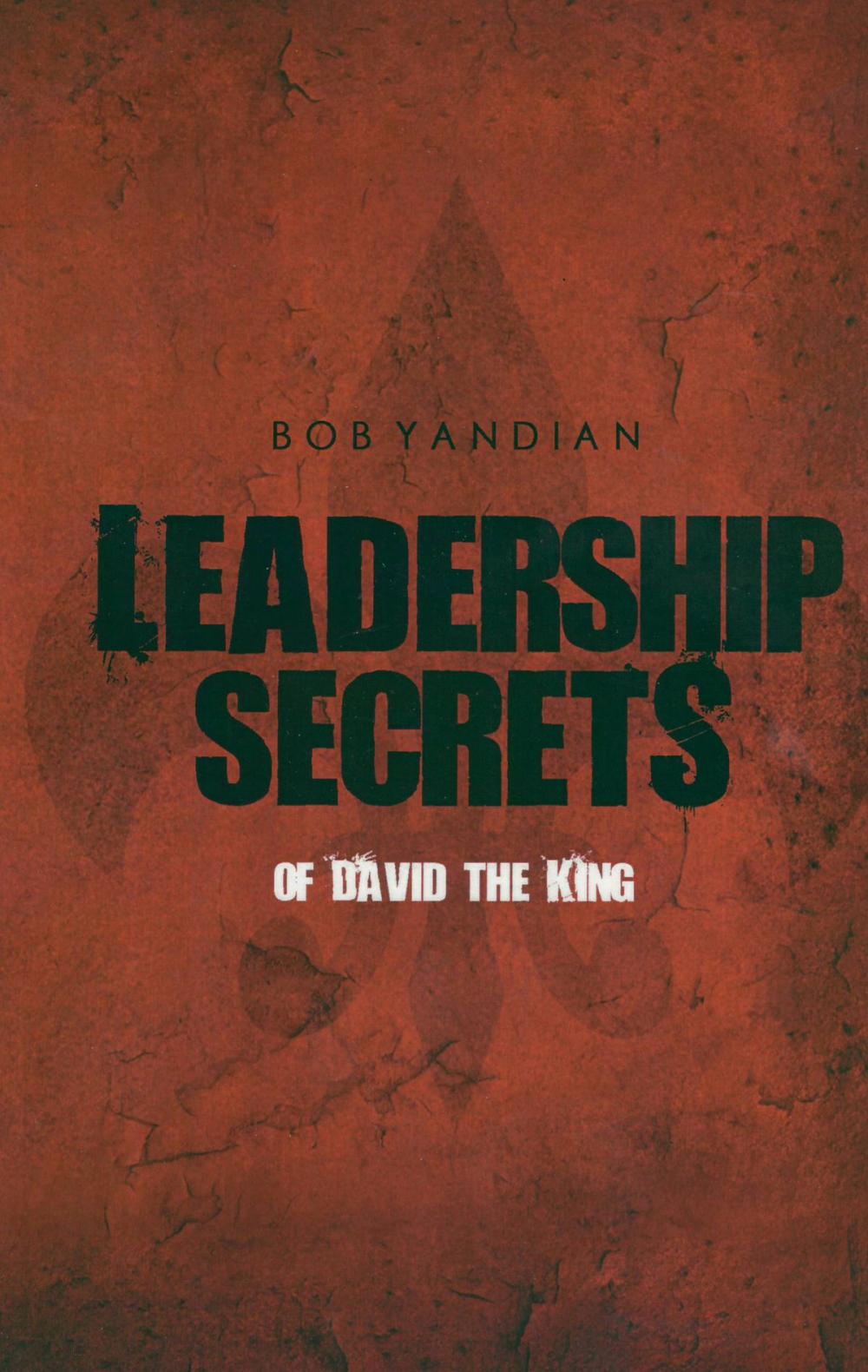 Big bigCover of Leadership Secrets of David the King