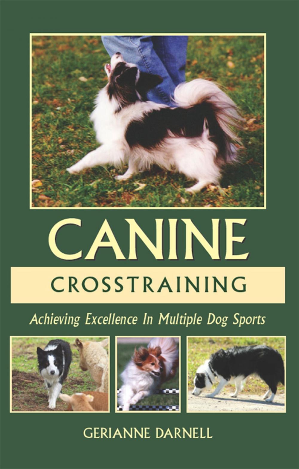 Big bigCover of ACHIEVING EXCELLENCE IN MULTIPLE DOG SPORTS: CANINE CROSSTRAINING