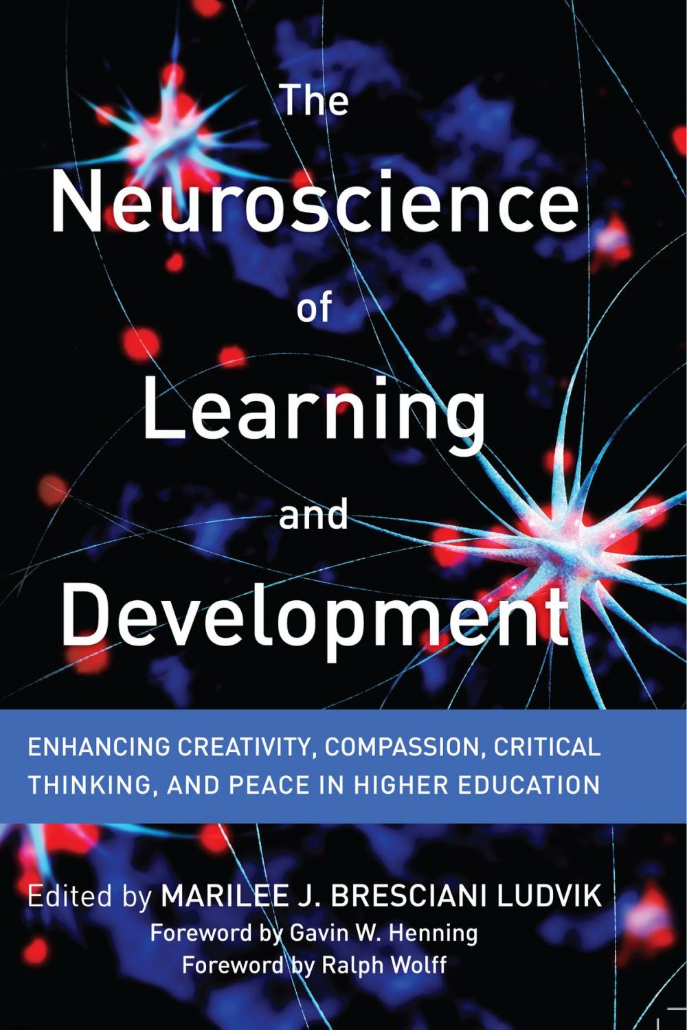 Big bigCover of The Neuroscience of Learning and Development