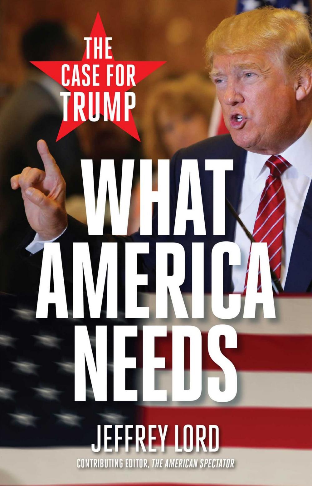 Big bigCover of What America Needs