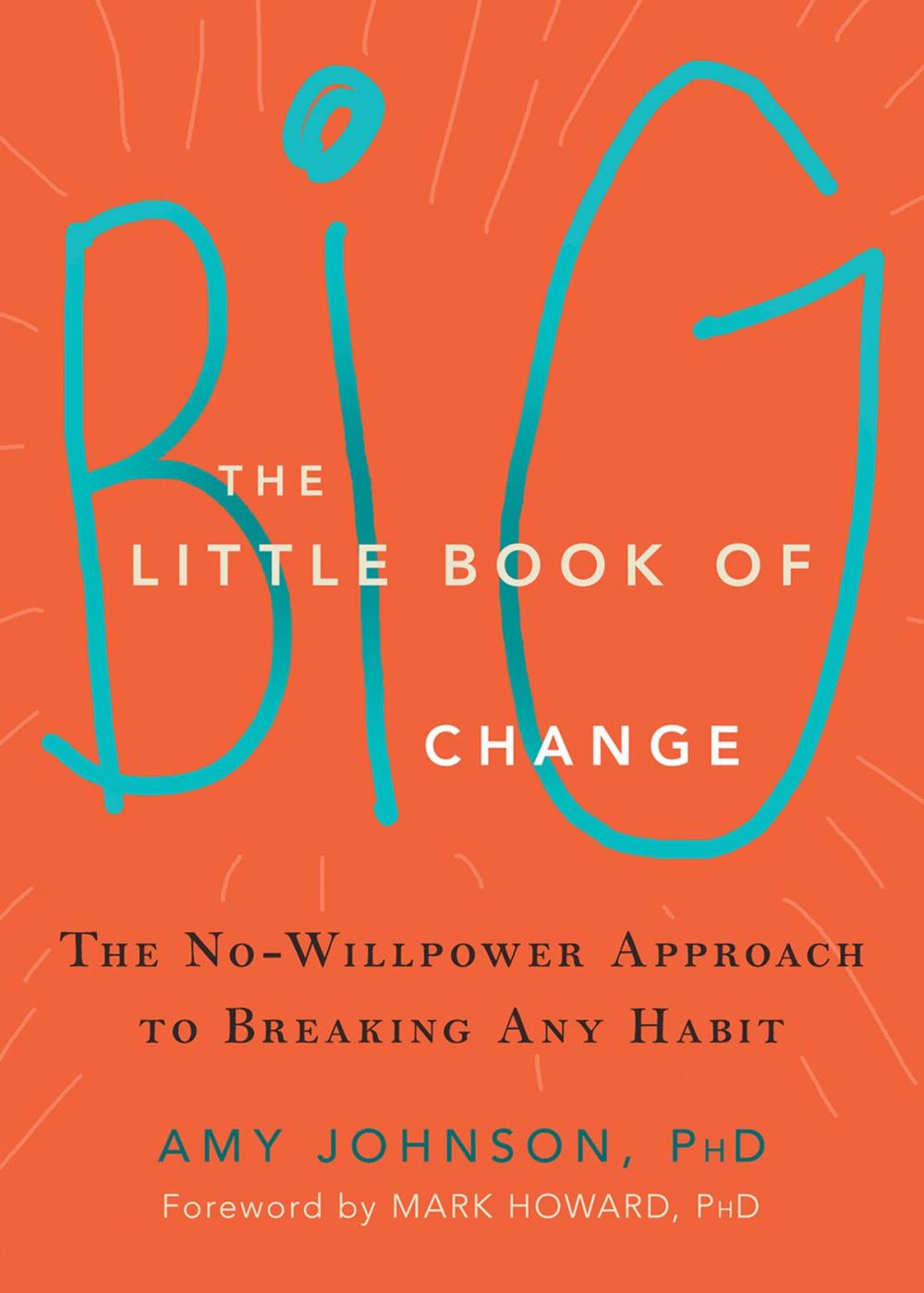 Big bigCover of The Little Book of Big Change