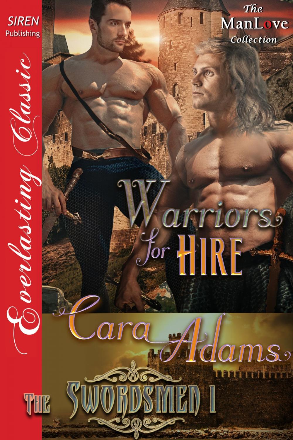 Big bigCover of Warriors for Hire